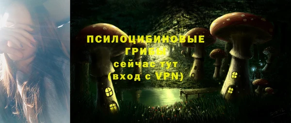 соль курить ск Нея