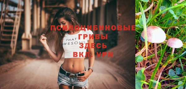 прущие грибы Болхов